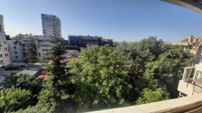 Apartment Icovi